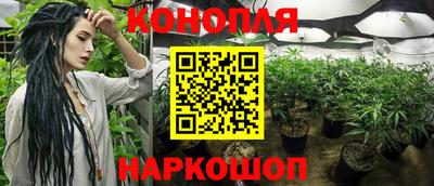 стафф Бузулук