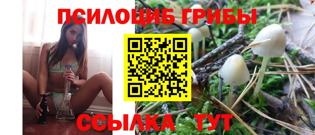 Псилоцибиновые грибы мицелий  Вход с VPN  Семёнов  Галлюциногенные грибы GOLDEN TEACHER 